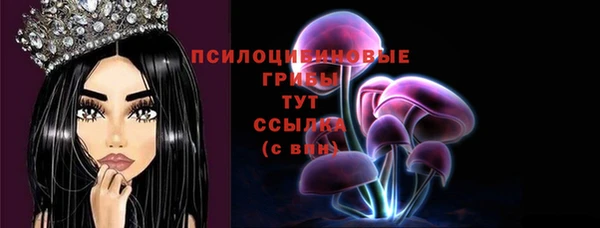 скорость Алзамай