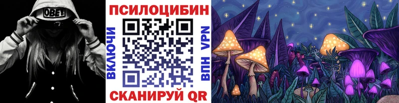 купить наркотики цена  Дегтярск  Галлюциногенные грибы Cubensis 